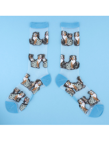 Skarpetki przezroczyste Owczarek australijski