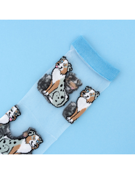 Skarpetki przezroczyste Owczarek australijski