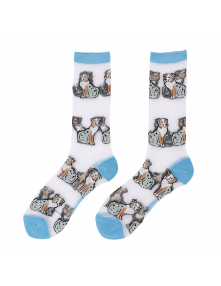 Skarpetki przezroczyste Owczarek australijski