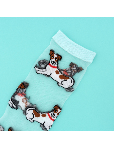 Skarpetki przezroczyste Jack Russel terrier