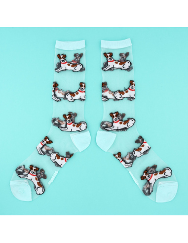 Skarpetki przezroczyste Jack Russel terrier