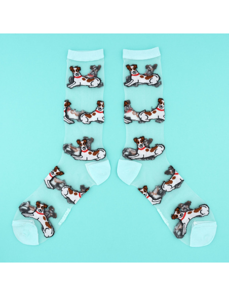 Skarpetki przezroczyste Jack Russel terrier