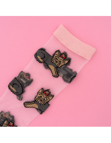 Skarpetki przezroczyste Pies Yorkshire