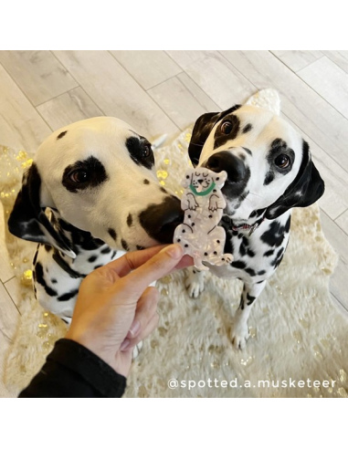 Klamra do włosów Dalmatyńczyk