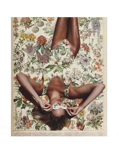 Fleurs