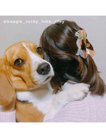 Klamra do włosów Beagle