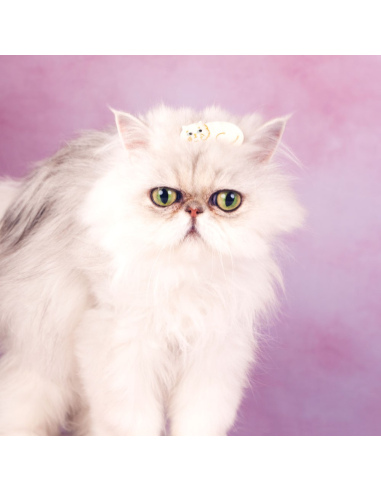 Klamra do włosów Kot perski biały