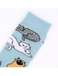 Skarpetki Miaou 2